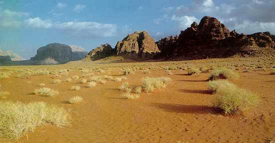 Wadi Rum